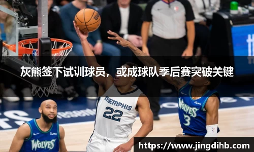 灰熊签下试训球员，或成球队季后赛突破关键